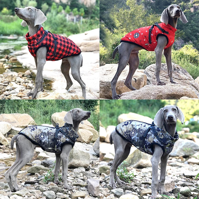 Boddy Warmer, With Harness