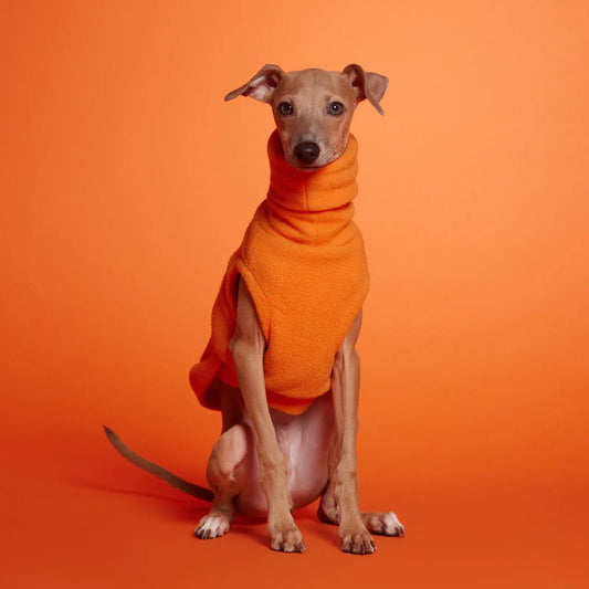 Orange Turtleneck Fleece