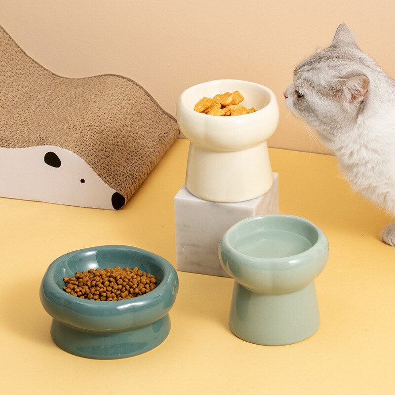 Contemporary, Ceramic Elevated Feeding Bowl, for Small to learge breeds