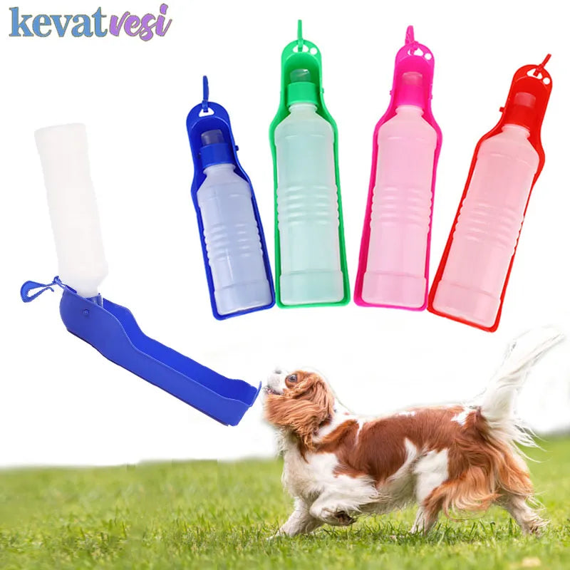 250Ml/500Ml Portable Water Bottle