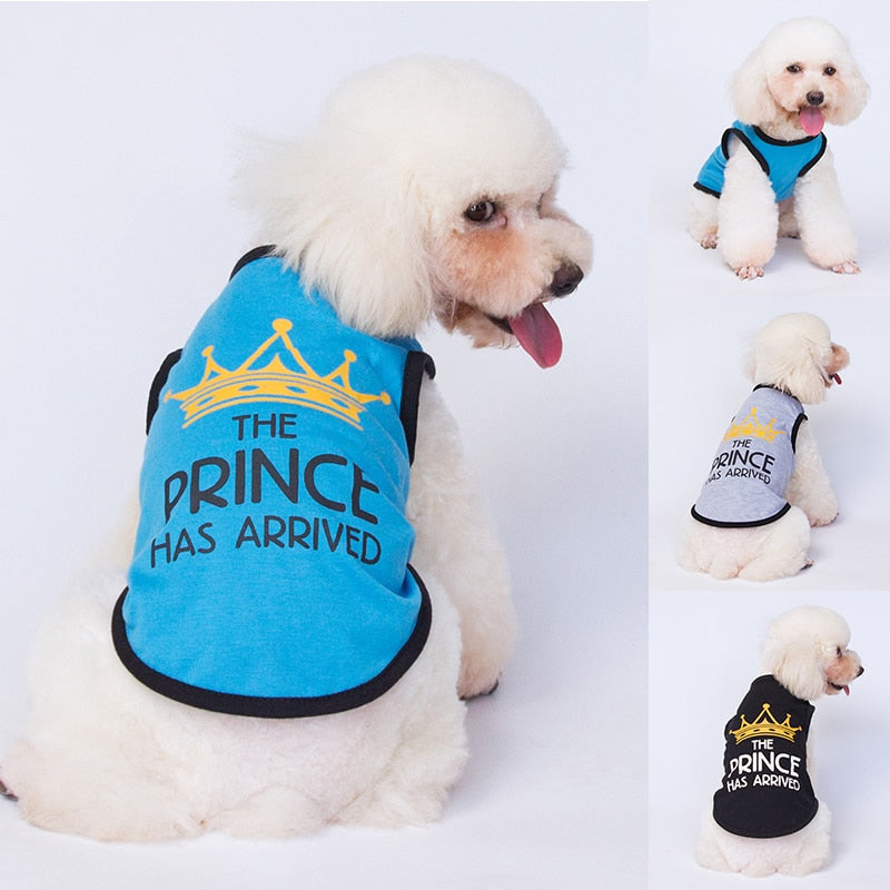 Princes and Prince T - Shirt's