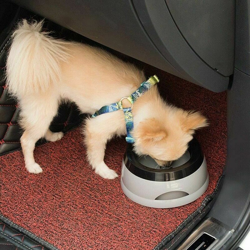 Small Anti - Spill Water Bowl, Great For Travel and Messy Pups