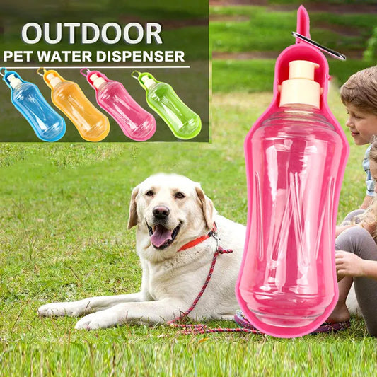 Portable Water Bottle