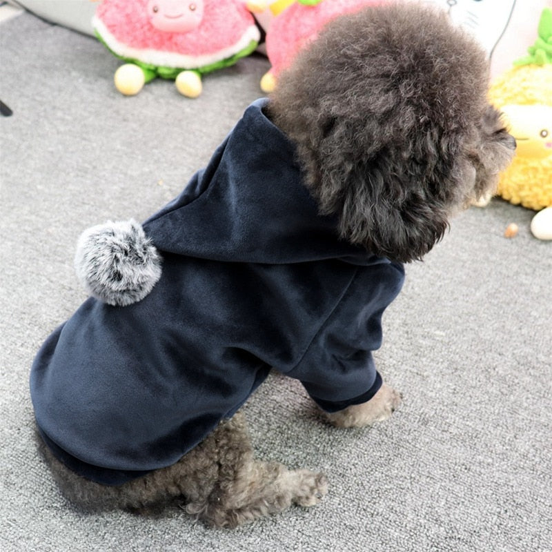 Winter Dog Hoodie, With Cute Pom Pom Hood