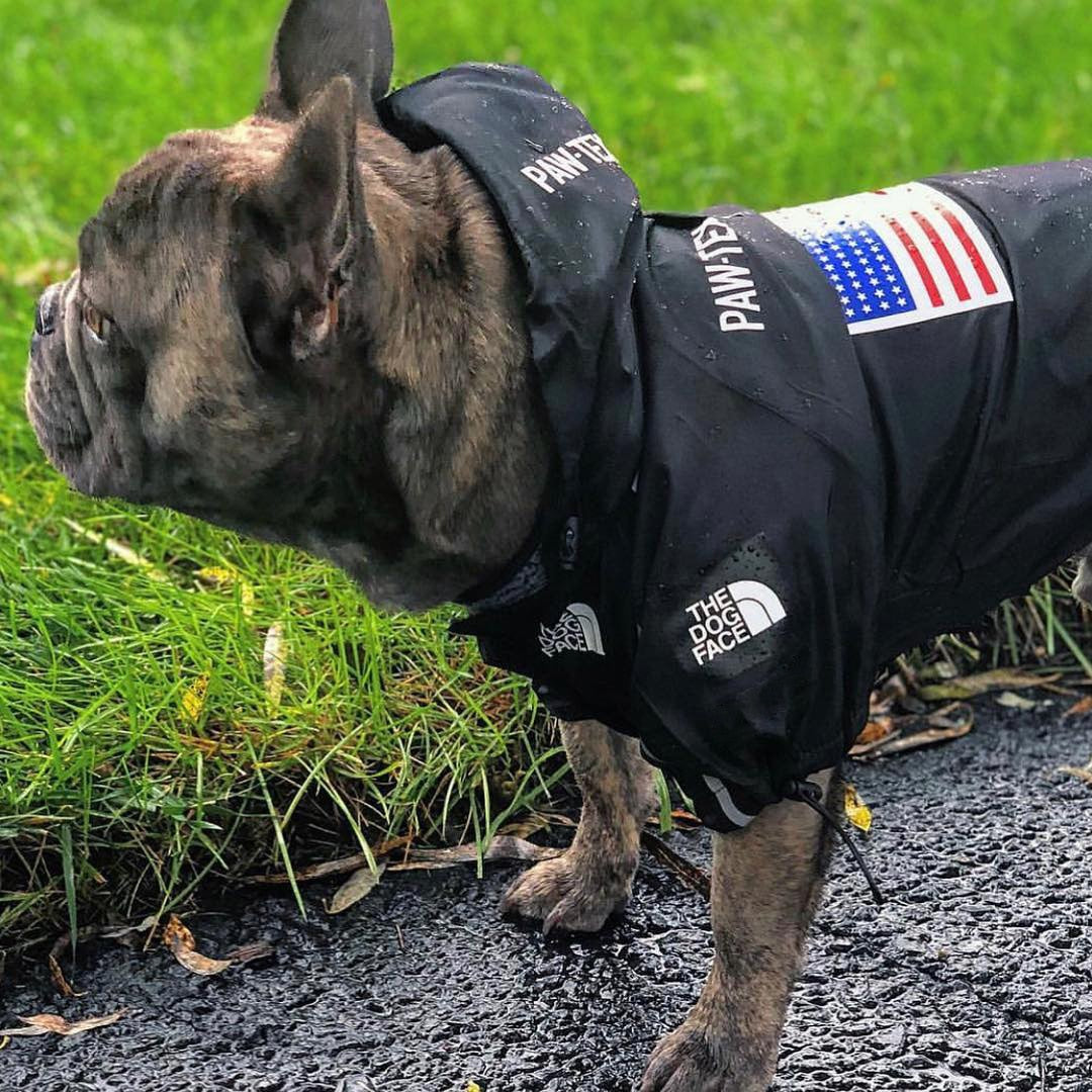 Luxury "The Dog Face"  Rain Coat