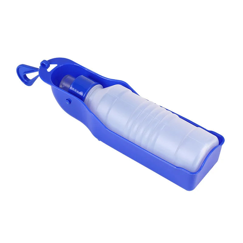 250Ml/500Ml Portable Water Bottle