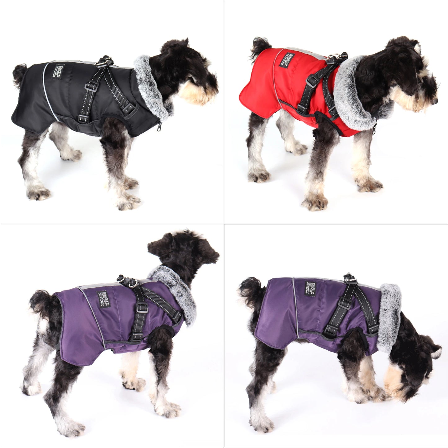 Winter Warm Jacket, With Detachable Harness