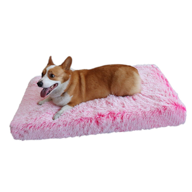 Calming Effect Soft Plush Bed