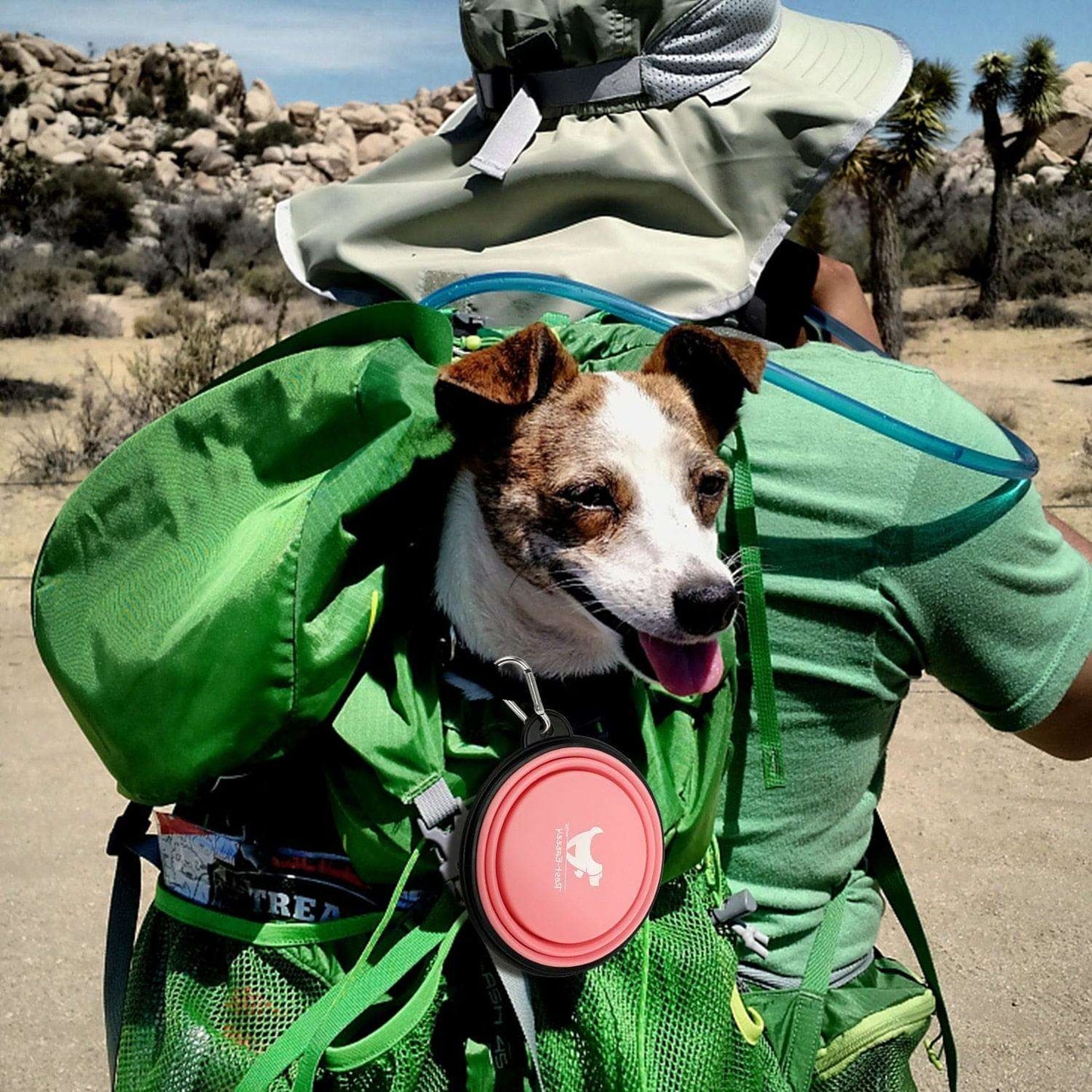 350ML/1000ML Collapsible Dog Bowl