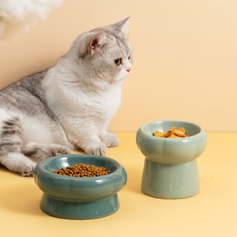 Contemporary, Ceramic Elevated Feeding Bowl, for Small to learge breeds