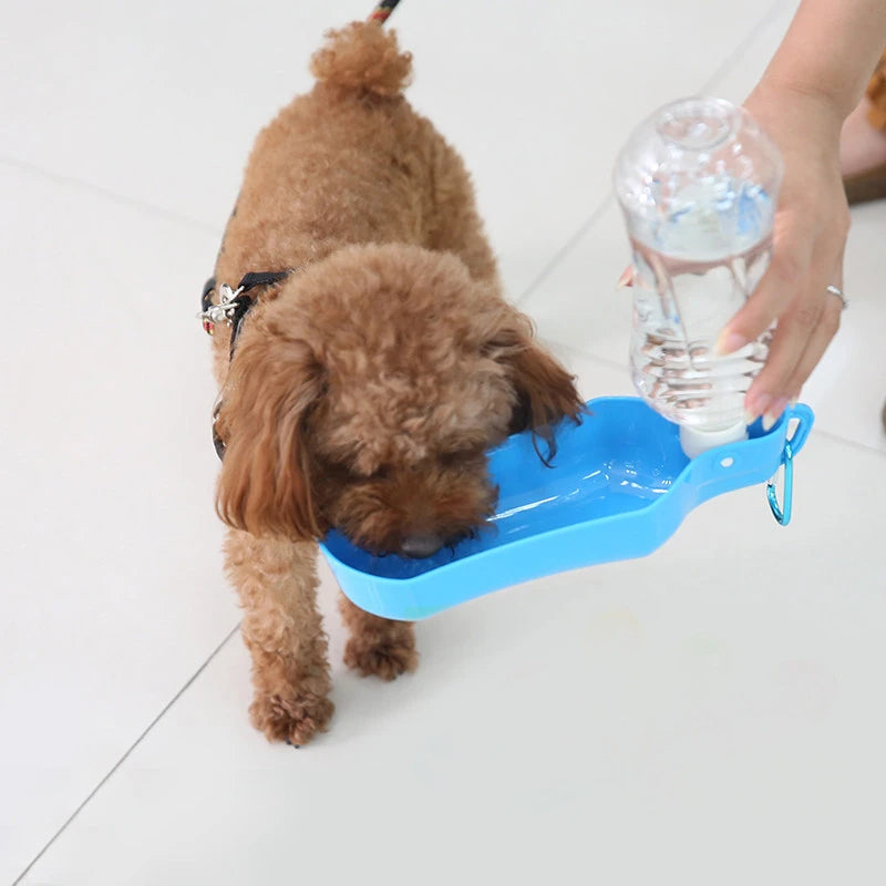 Portable Water Bottle