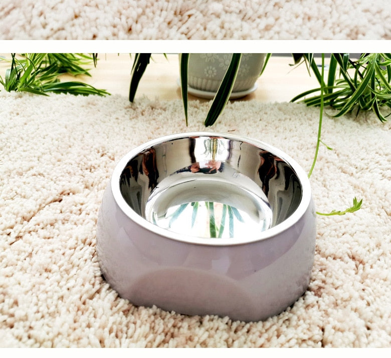 Stylish Stainless Steel Dog Bowl