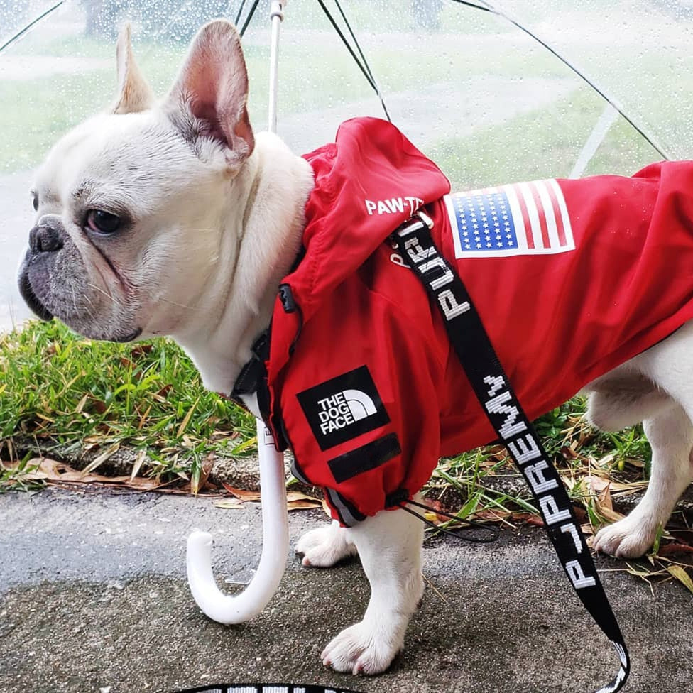 Luxury "The Dog Face"  Rain Coat