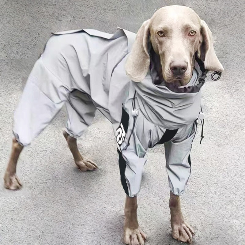 Gray Rain Coat, Jumpsuit Style, With Velcro labels Optional, Large Breeds