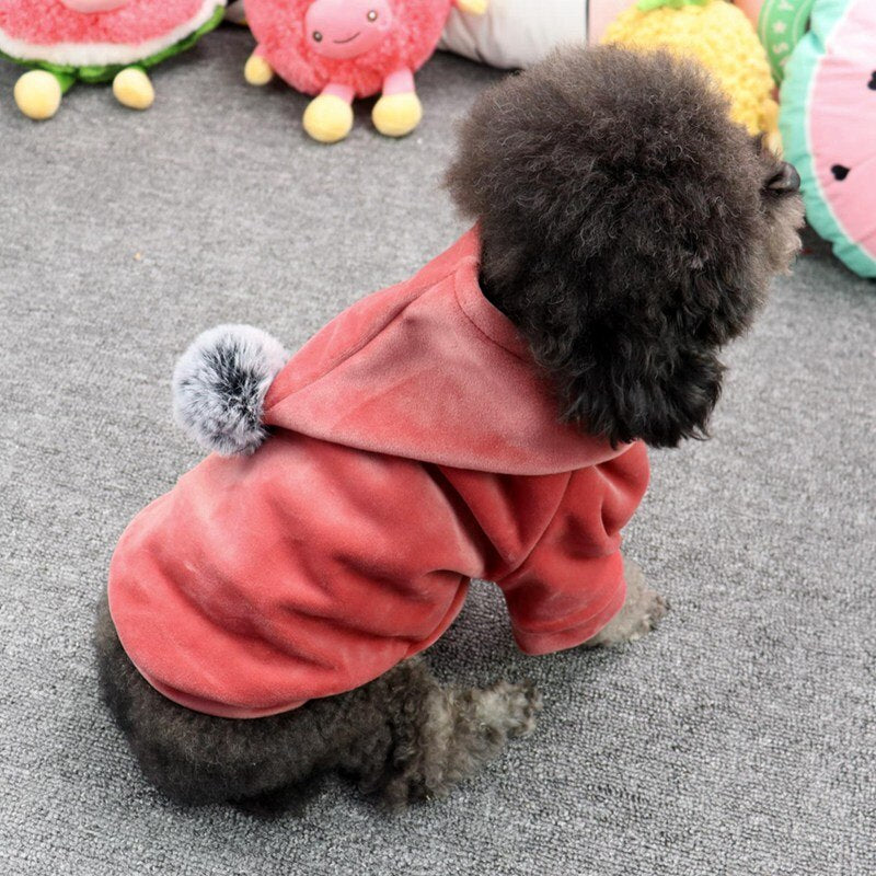 Winter Dog Hoodie, With Cute Pom Pom Hood