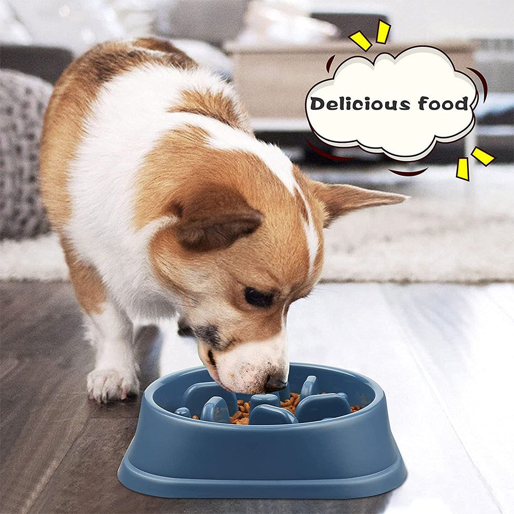 Slow Feeder Dog Bowl, Non Slip Bottom