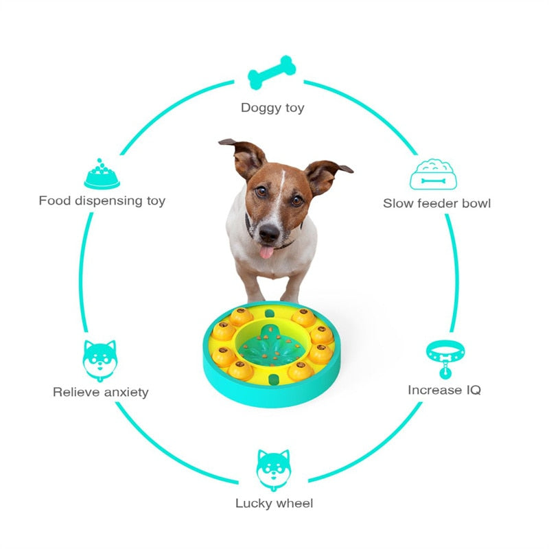 Fun Puzzle or Every Day Slow Feeder for Dogs