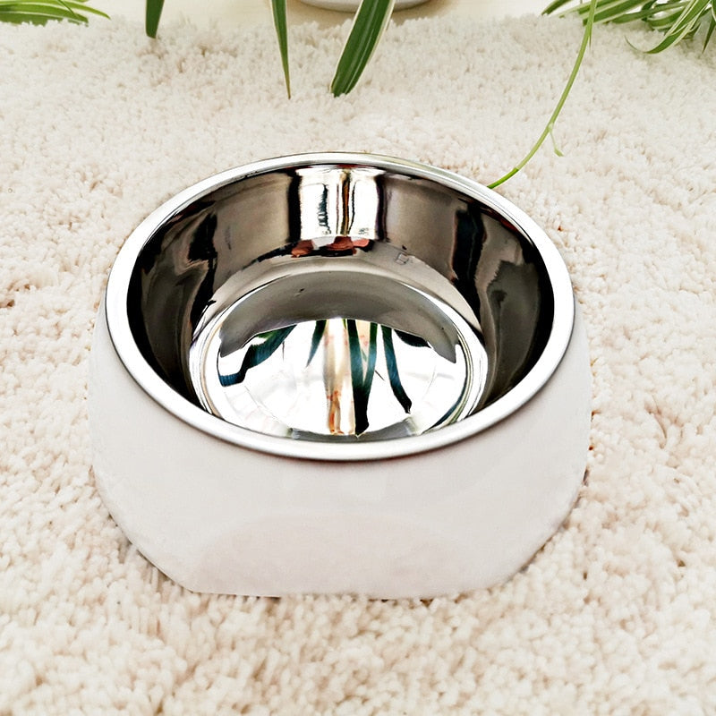 Stylish Stainless Steel Dog Bowl