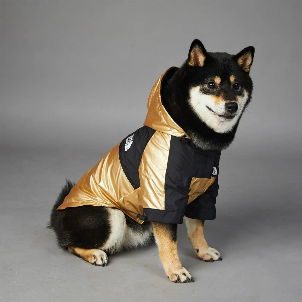 The Dog Face Gold Luxury Jacket