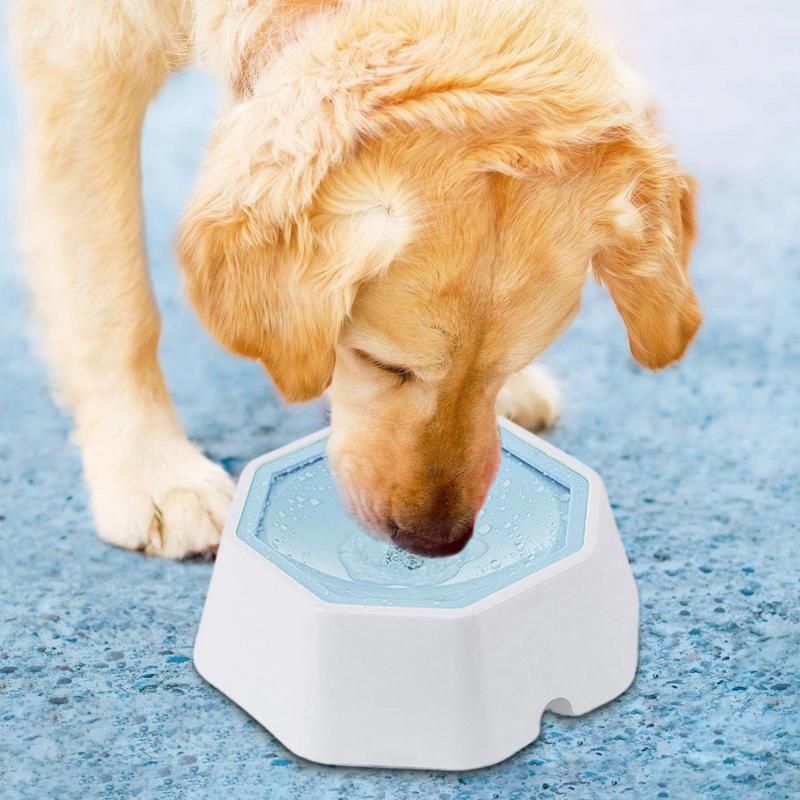 Big Dog Water Anti Spill Drinking Water Bowl