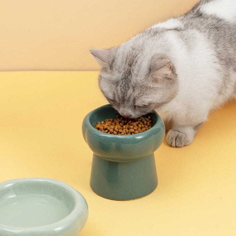 Contemporary, Ceramic Elevated Feeding Bowl, for Small to learge breeds