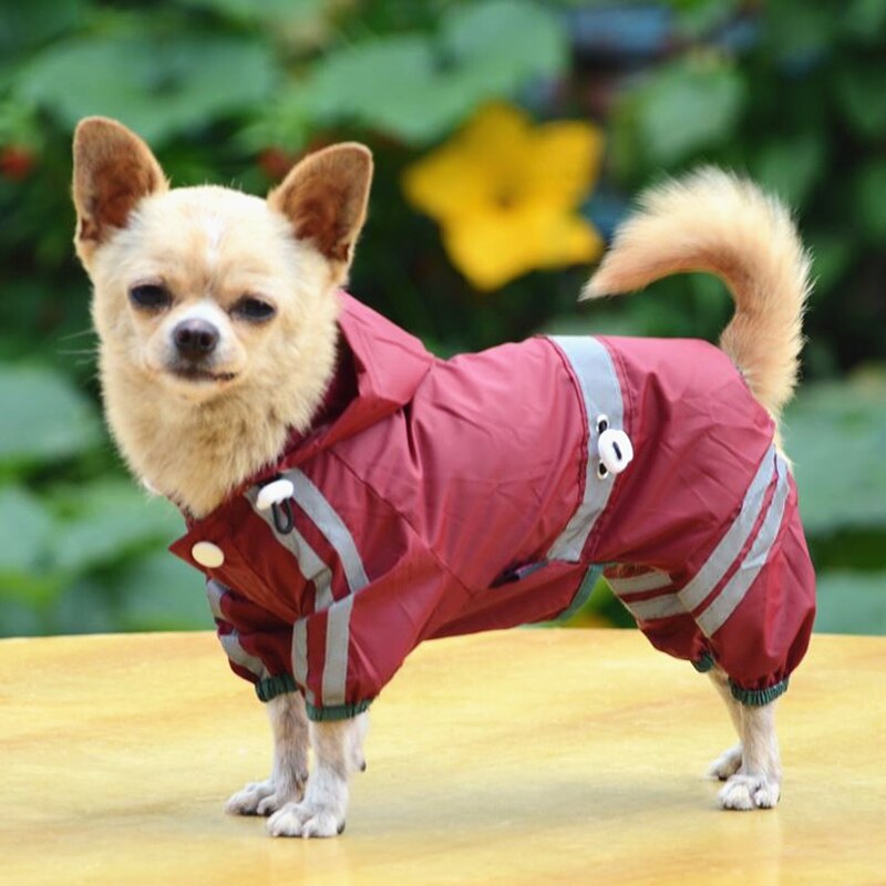 Rain Coats, For Small Dogs