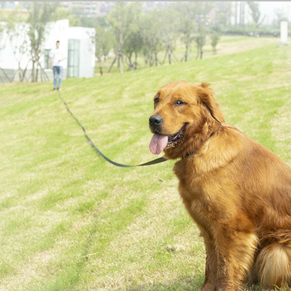 1.5m 3m 6m Long Outdoor Training Lead