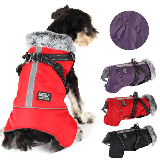 Winter Warm Jacket, With Detachable Harness