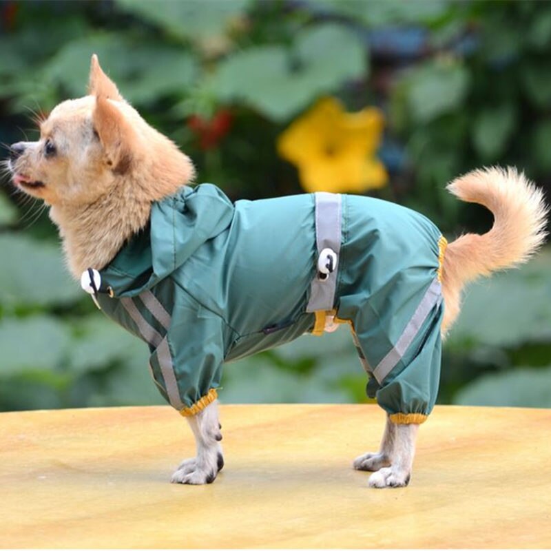 Rain Coats, For Small Dogs