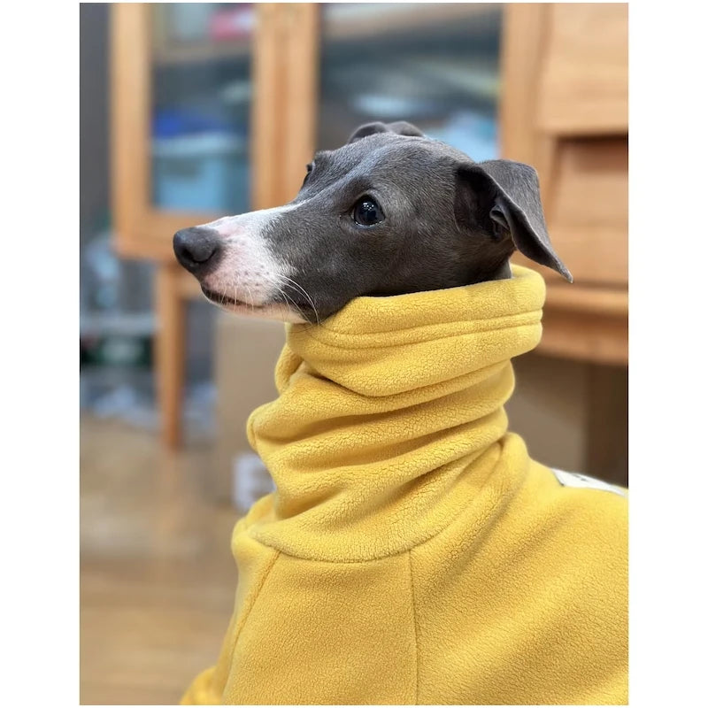 Yellow Turtleneck Fleece