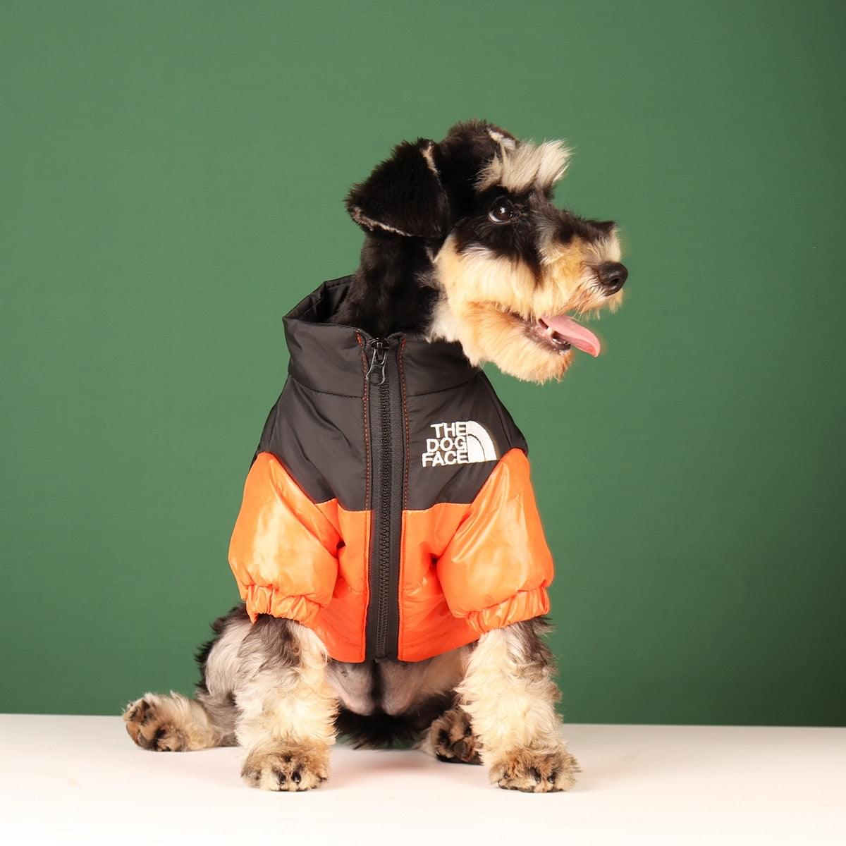 "The Dog Face" Windproof Jacket