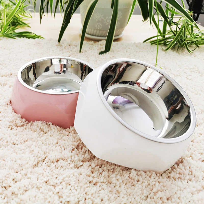 Stylish Stainless Steel Dog Bowl