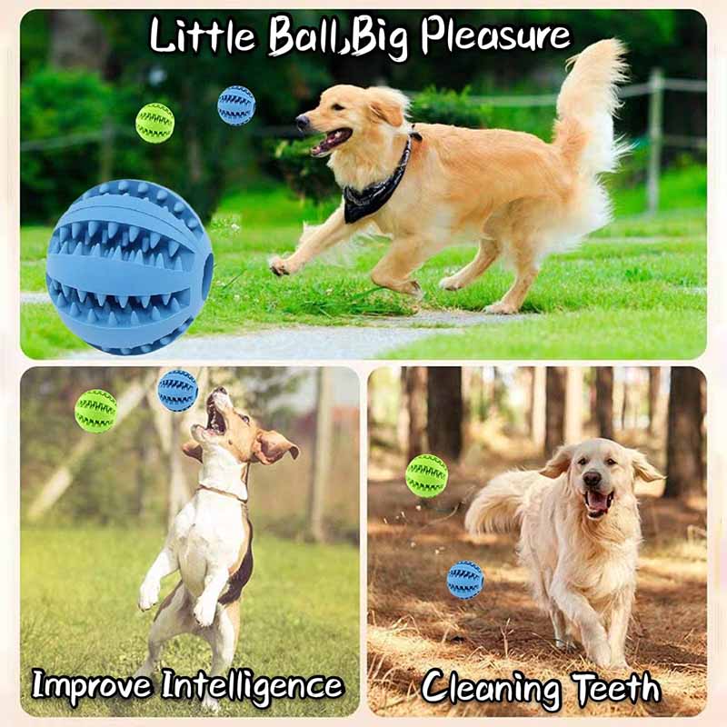 Interactive Chew Ball