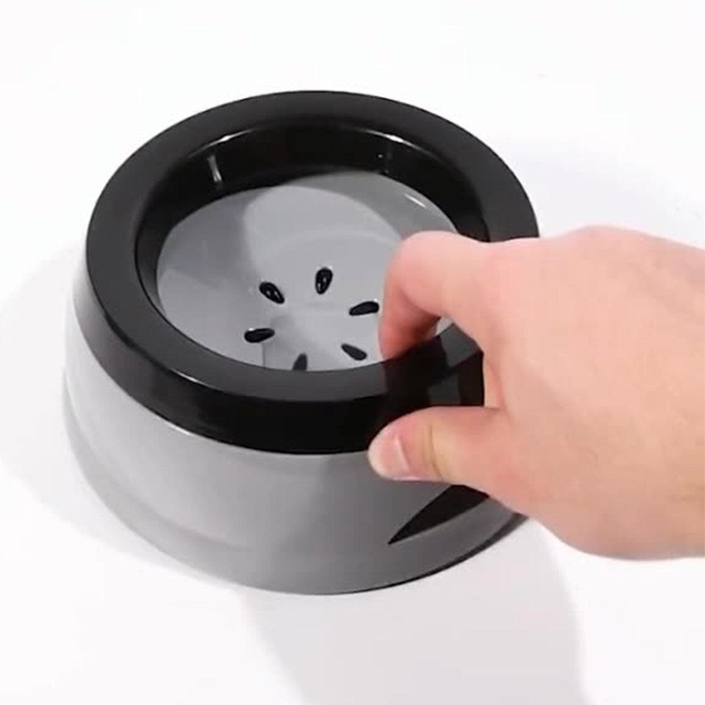 Anti - spill Travel Bowl