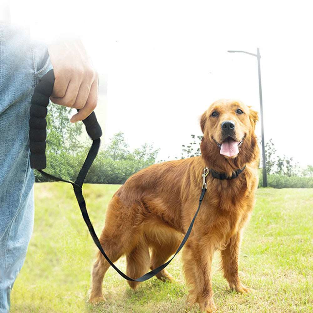 1.5m 3m 6m Long Outdoor Training Lead