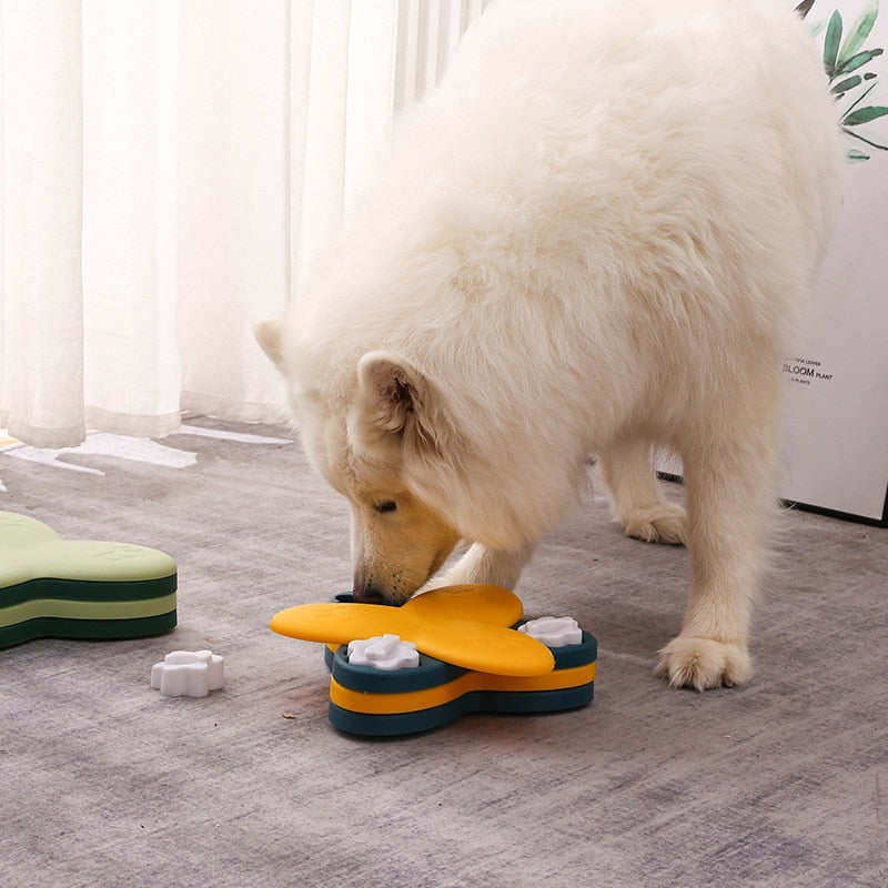 Slow Feeders with Toys and an Interactive Food Ball