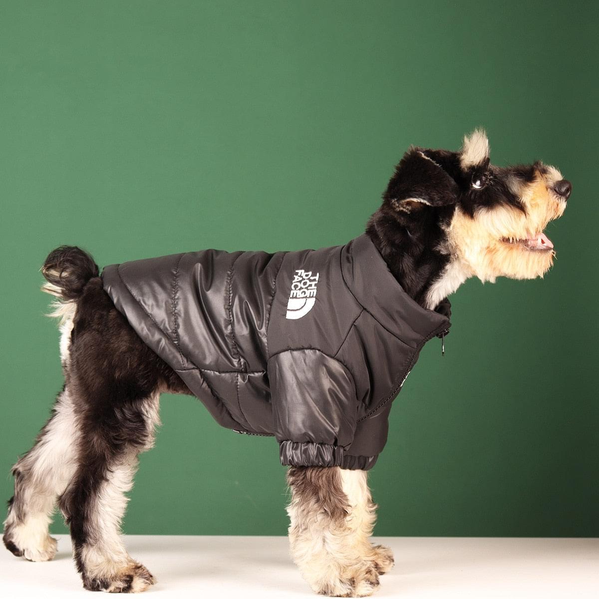 "The Dog Face" Windproof Jacket