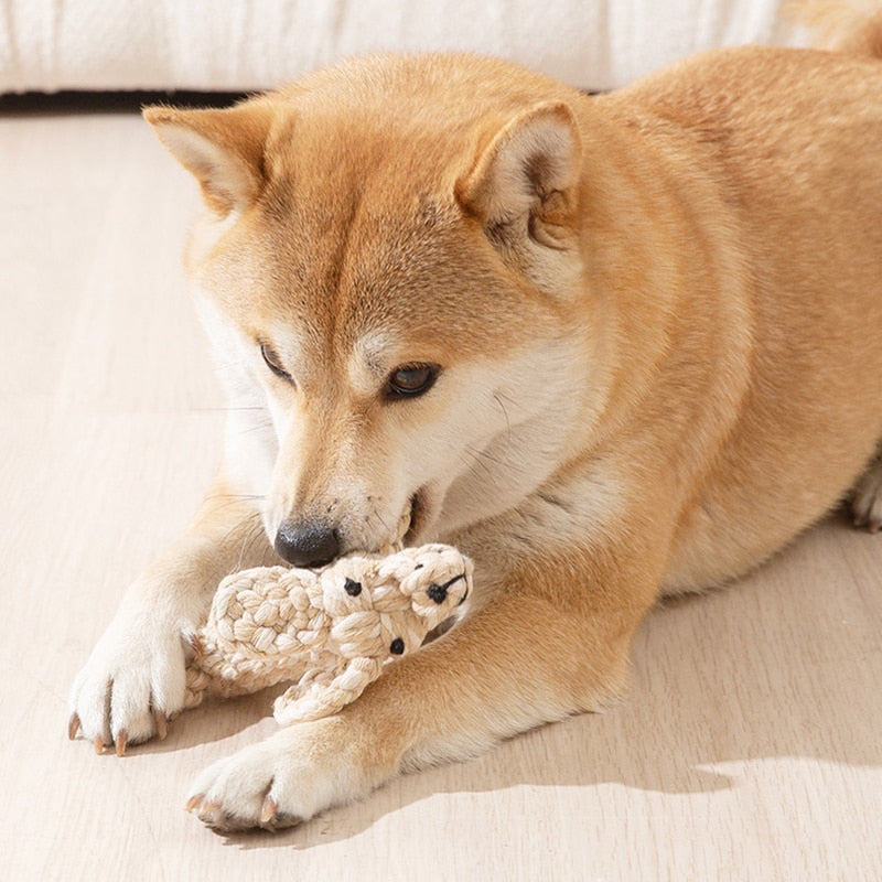 Handmade Cotton Rope Toy