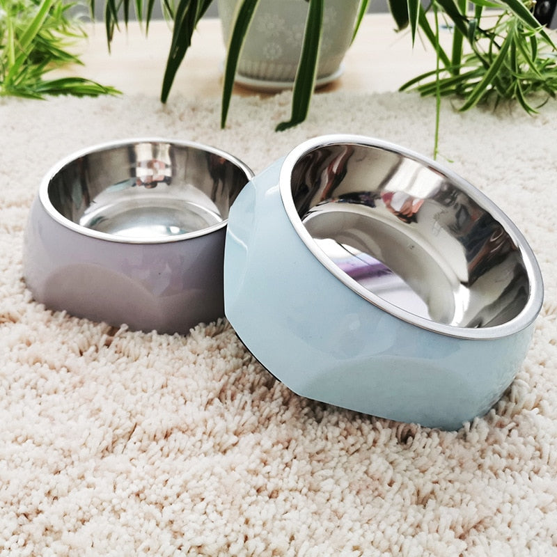 Stylish Stainless Steel Dog Bowl