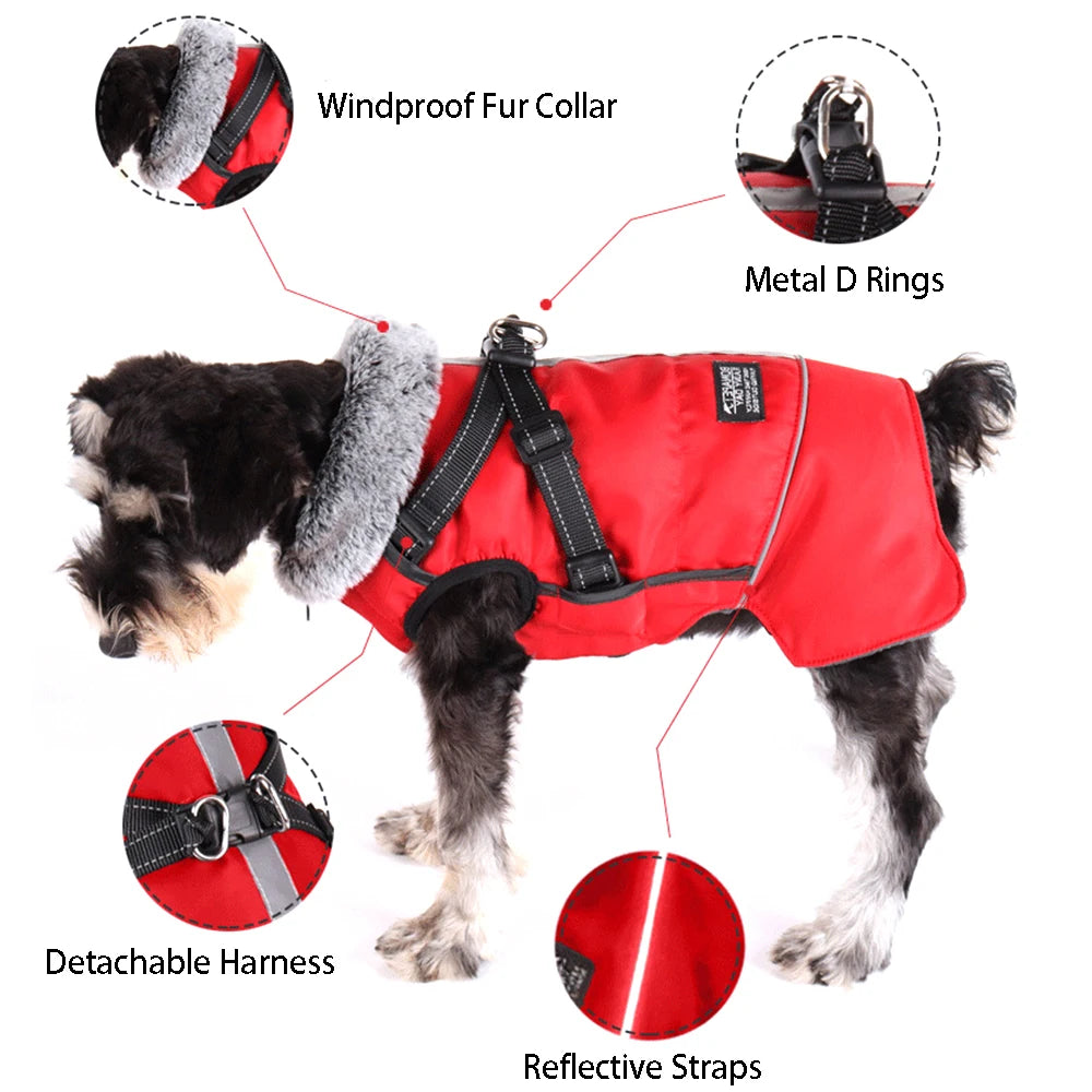 Winter Warm Jacket, With Detachable Harness