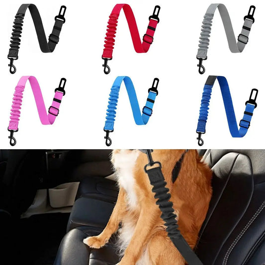 Nylon, Adjustable Seat Belt