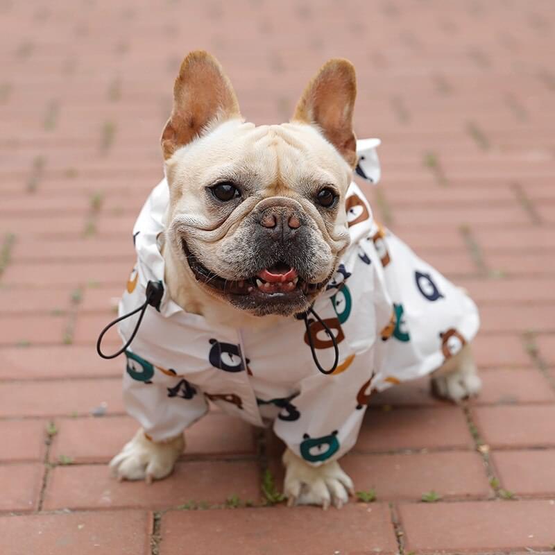 Animal Print Rain Coat