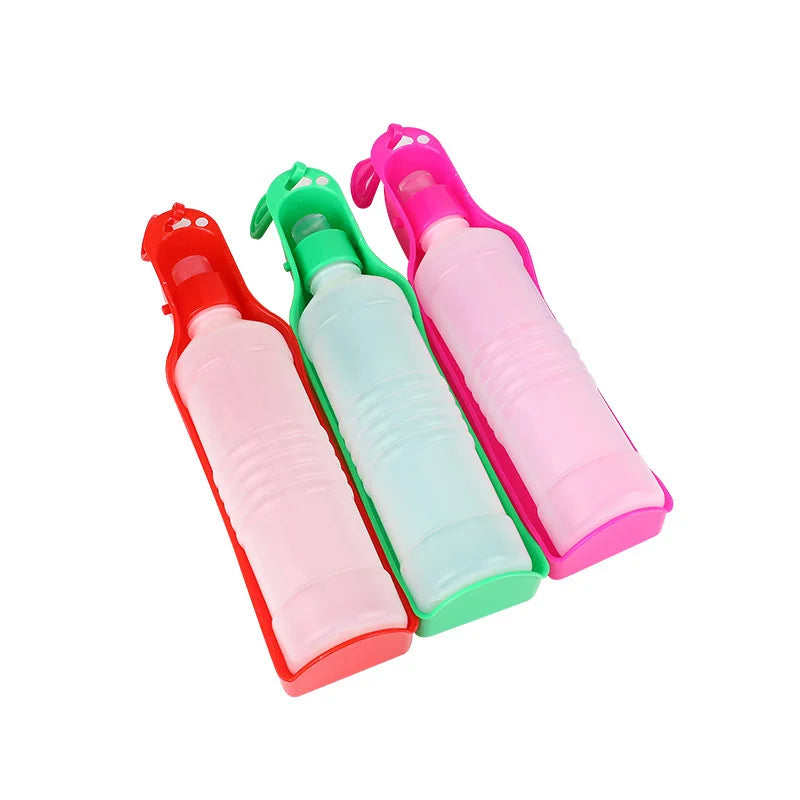 250Ml/500Ml Portable Water Bottle