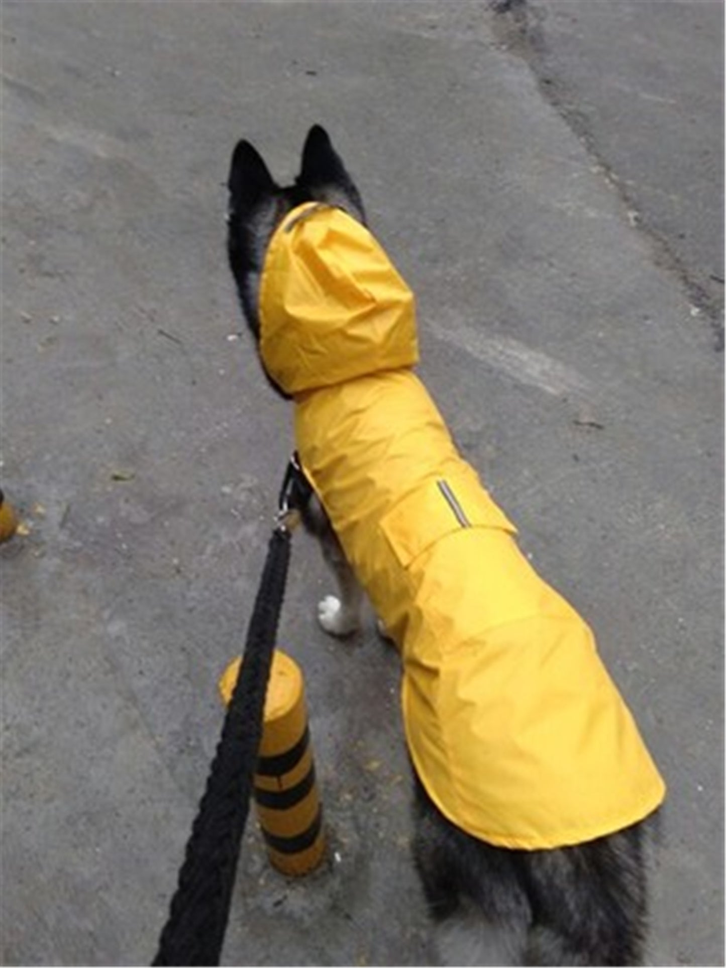 Large Raincoat, With Safety Reflective Stripe, Big Breeds