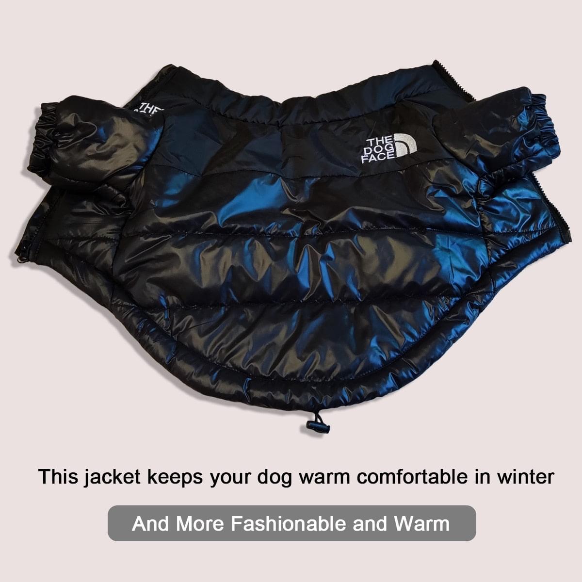 "The Dog Face" Windproof Jacket