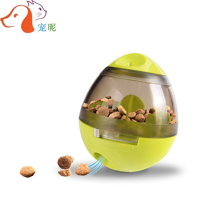 Slow Feeders with Toys and an Interactive Food Ball