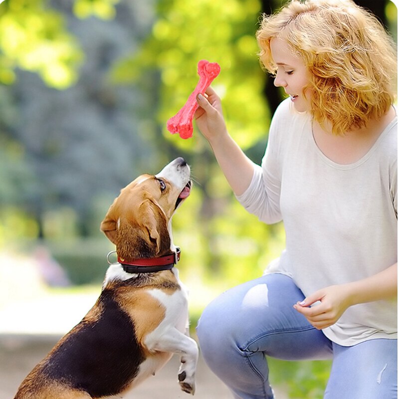 Red Chew Bones