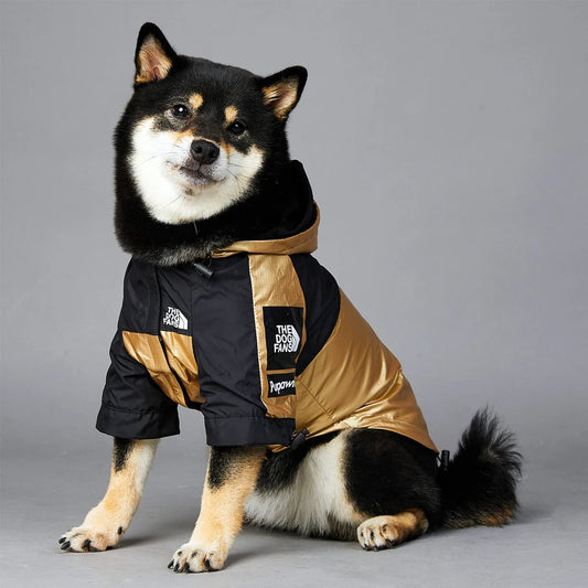 The Dog Face Gold Luxury Jacket