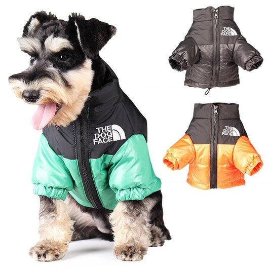 "The Dog Face" Windproof Jacket