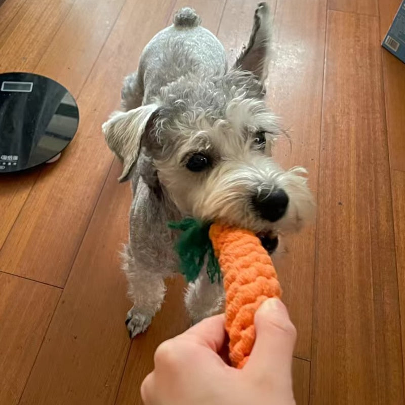 Chew Rope Toys